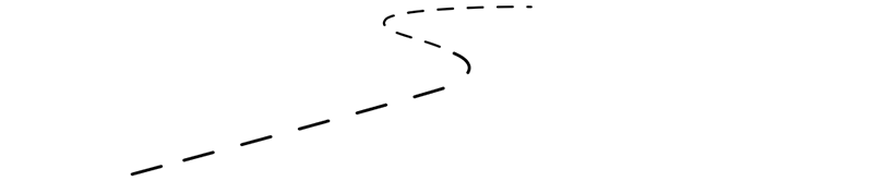 Dealer Services Network Logo