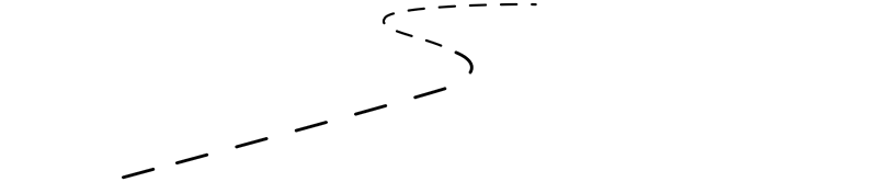 Dealer Services Network