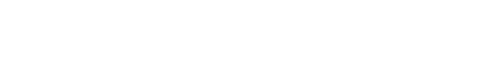 DocuPro by DSN dsn-pro-services-dealership-software-logo-1